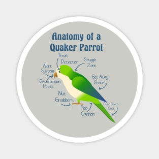 Anatomy of Quaker Parrot Monk Parakeet Magnet